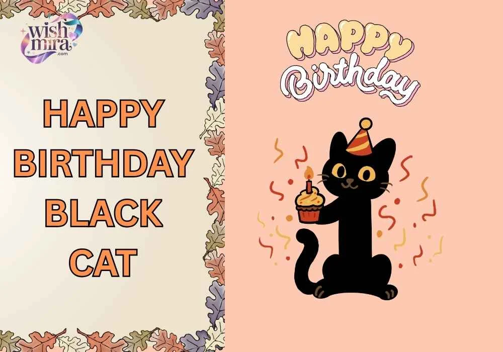 happy birthday black cat