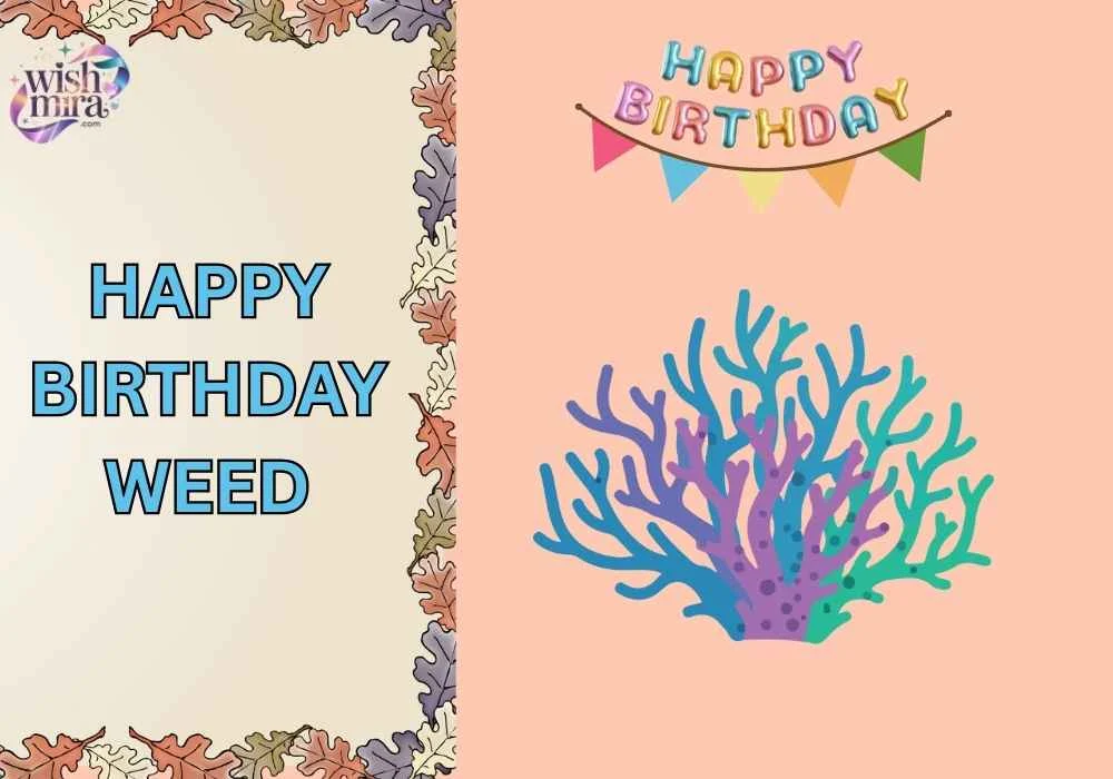 happy birthday weed