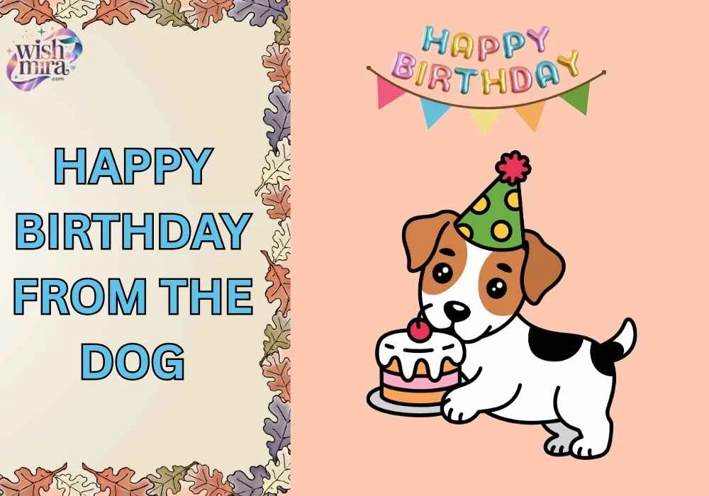 happy birthday from the dog